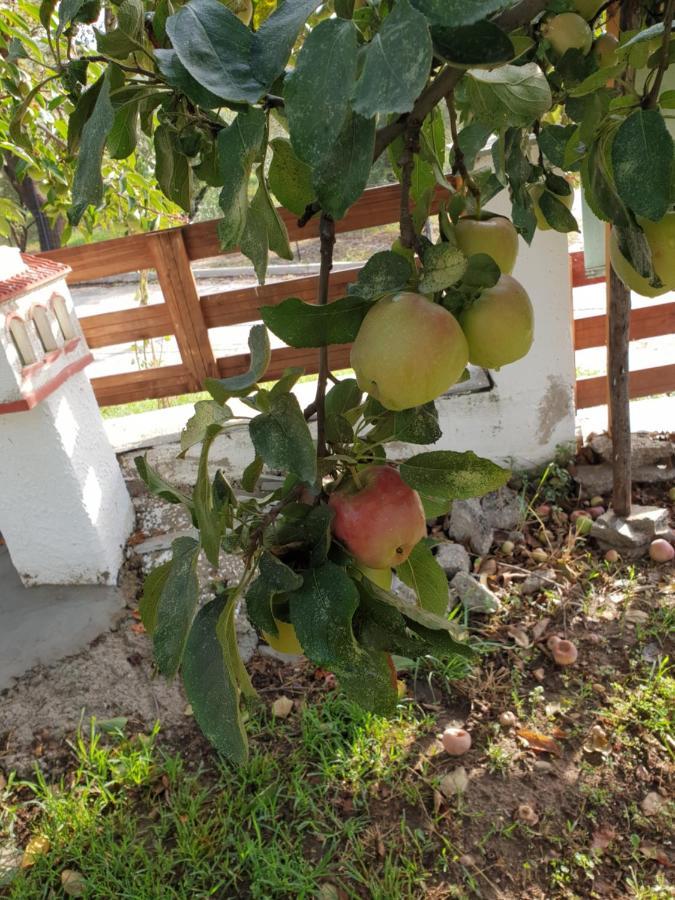 فيلا Mavridis House Eleftheroupoli المظهر الخارجي الصورة