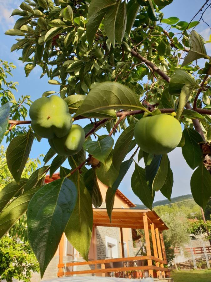 فيلا Mavridis House Eleftheroupoli المظهر الخارجي الصورة