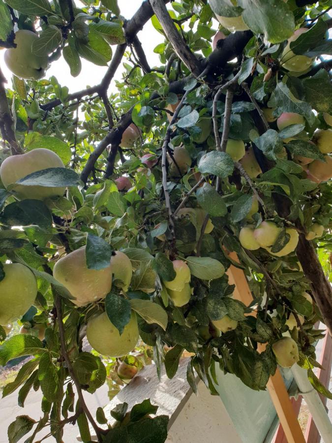 فيلا Mavridis House Eleftheroupoli المظهر الخارجي الصورة